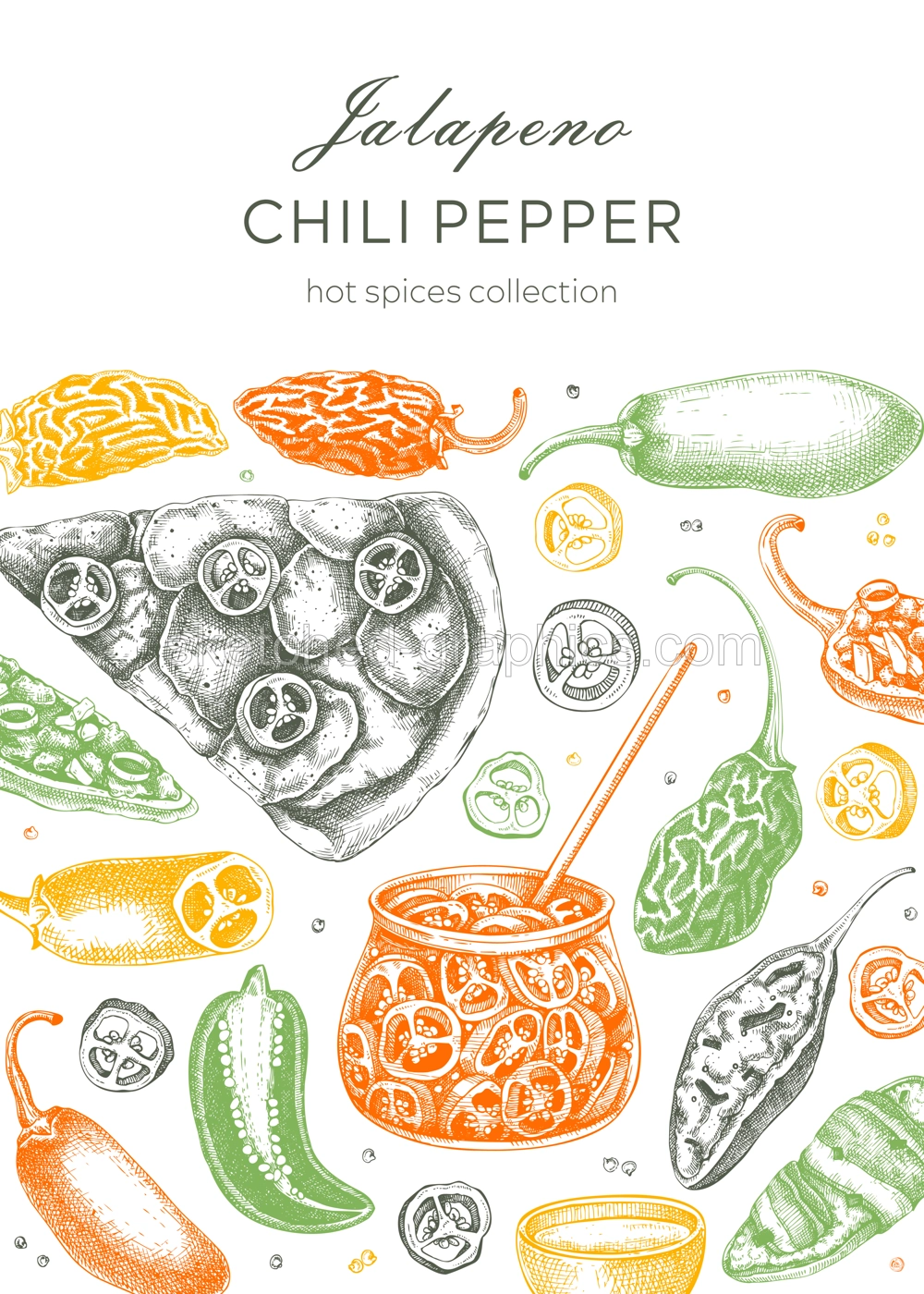  Mexican cuisine menu restaurant design. Ripe jalapeno chili pepper sketches. Hot spices, vegetarian, healthy food hand drawn vector illustration in color. Jalapeno with slices and seeds for packaging Illustration